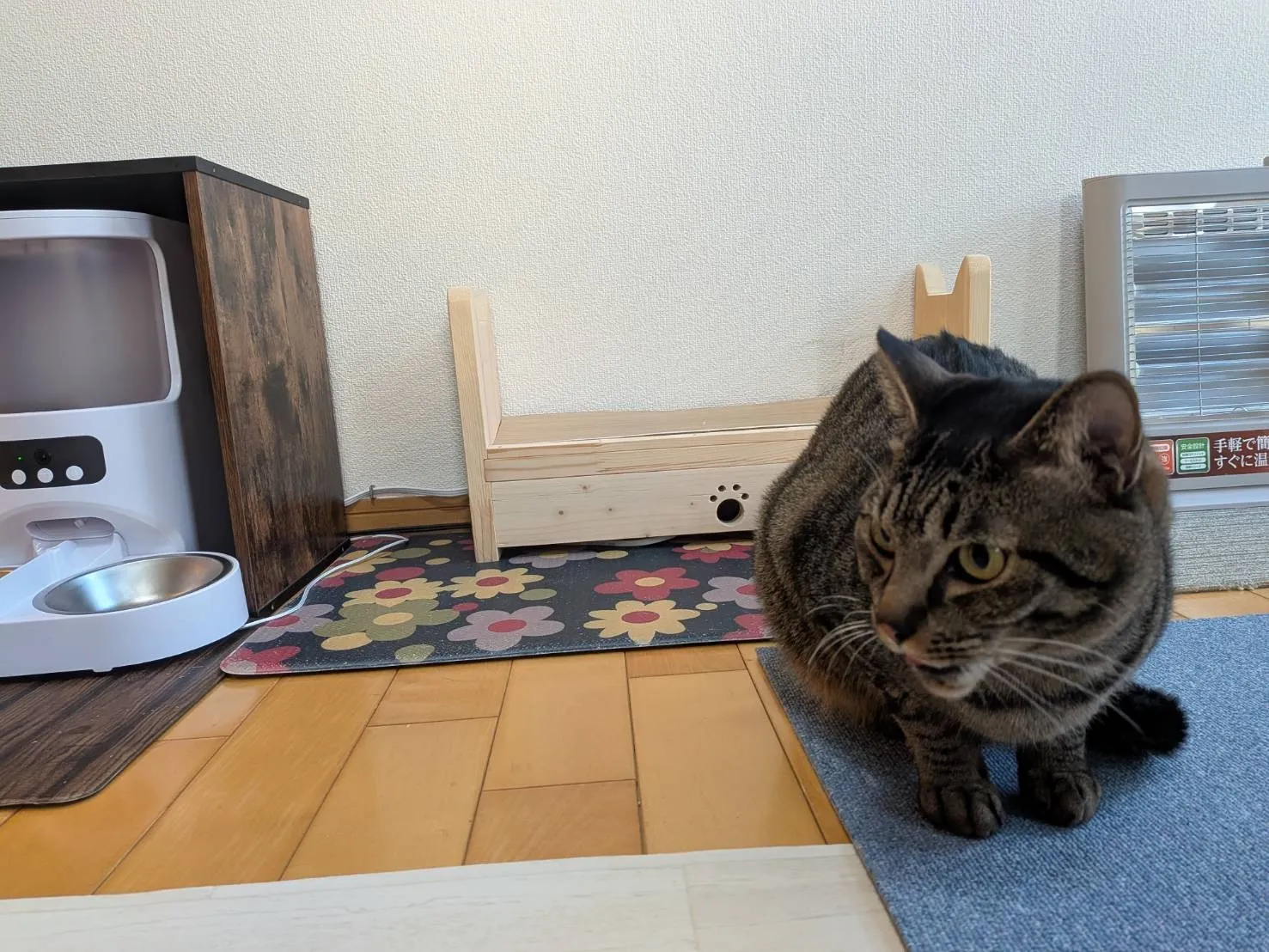 キャットテーブル