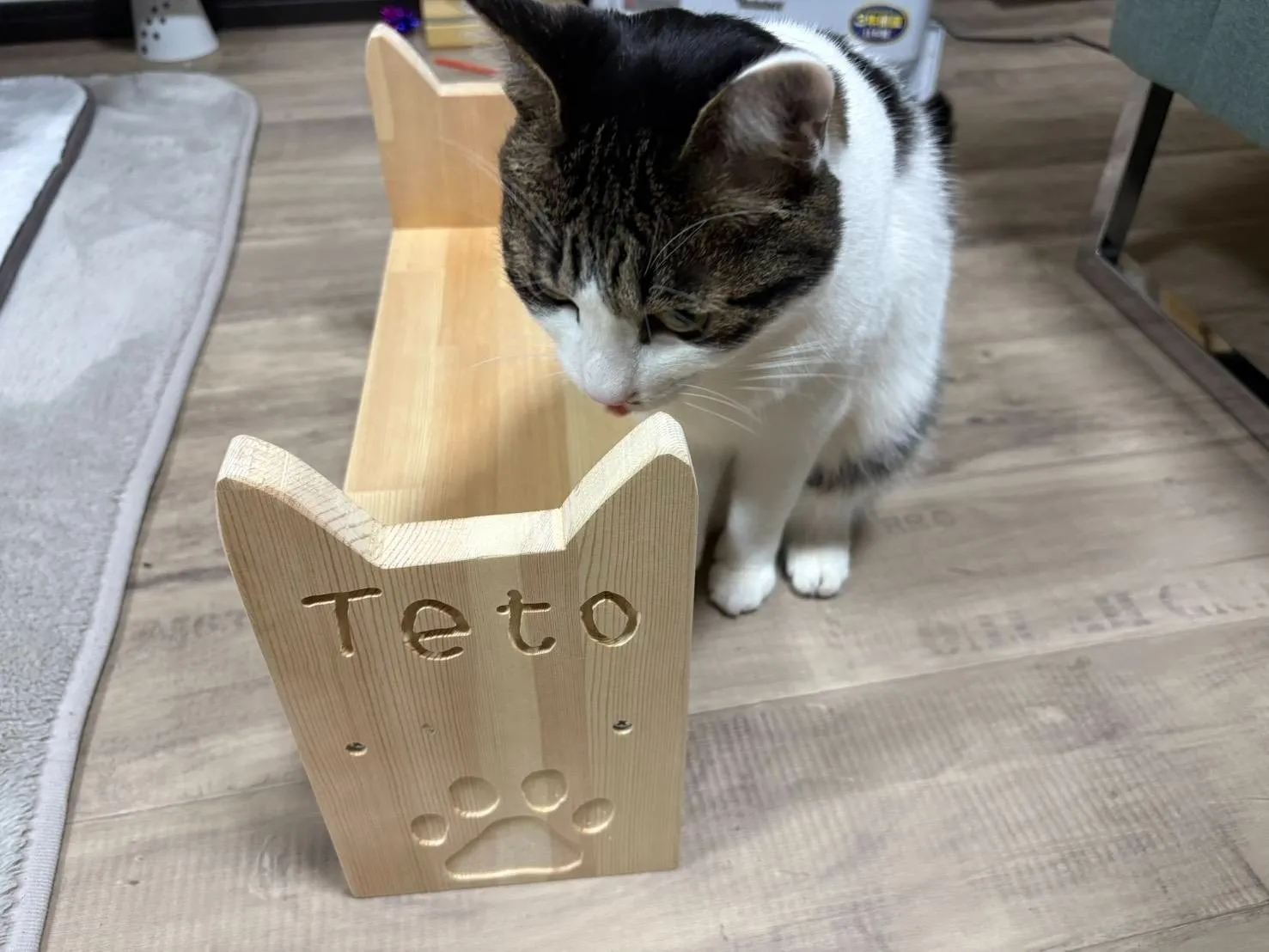 キャットテーブル