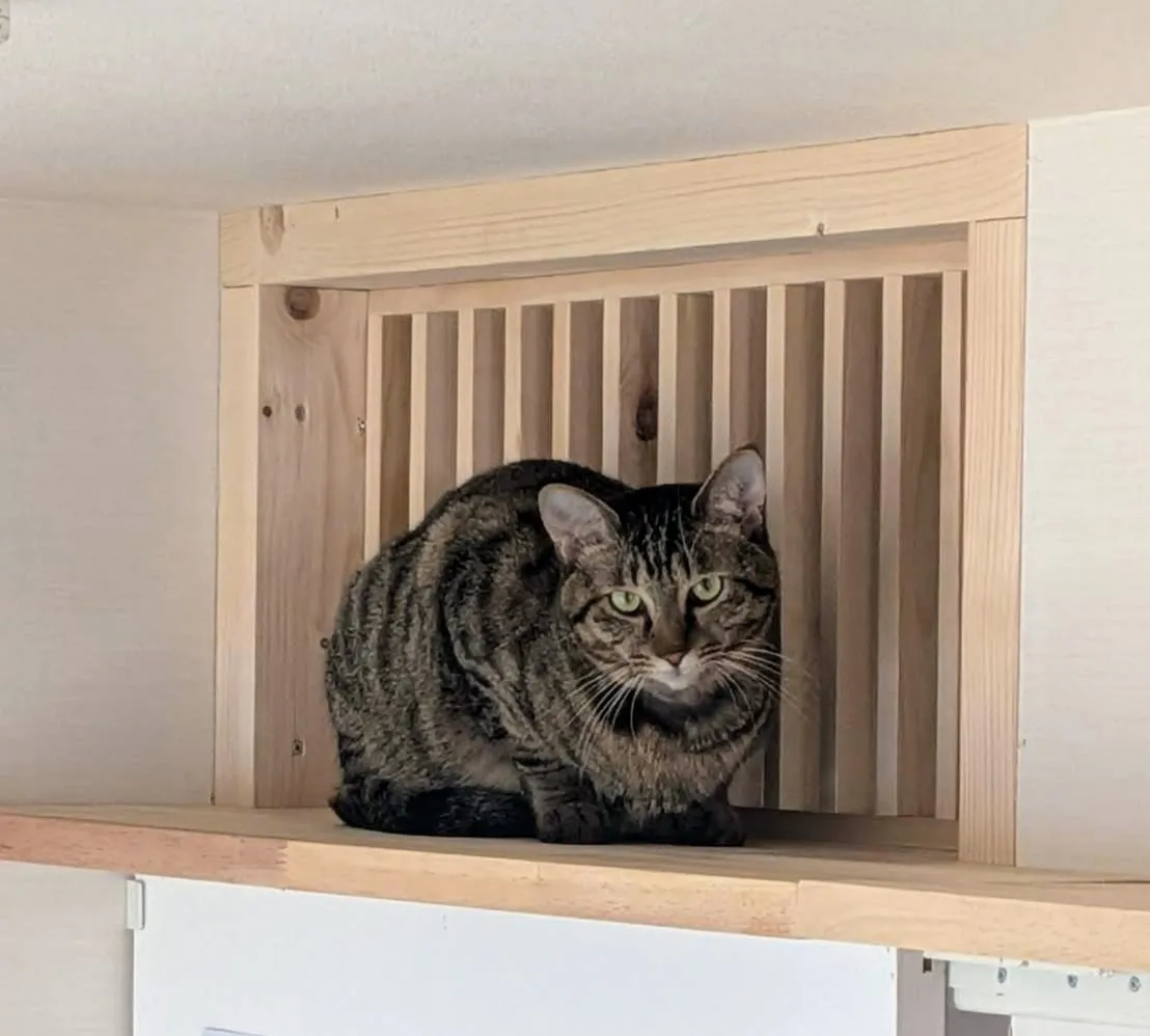 脱走防止＆キャットウォーク