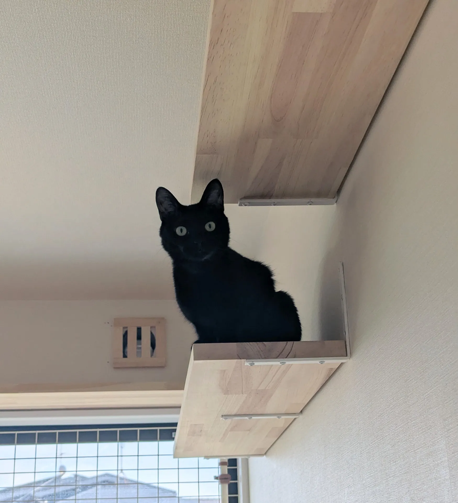 折り畳みキャットウォーク＆キャットウォーク