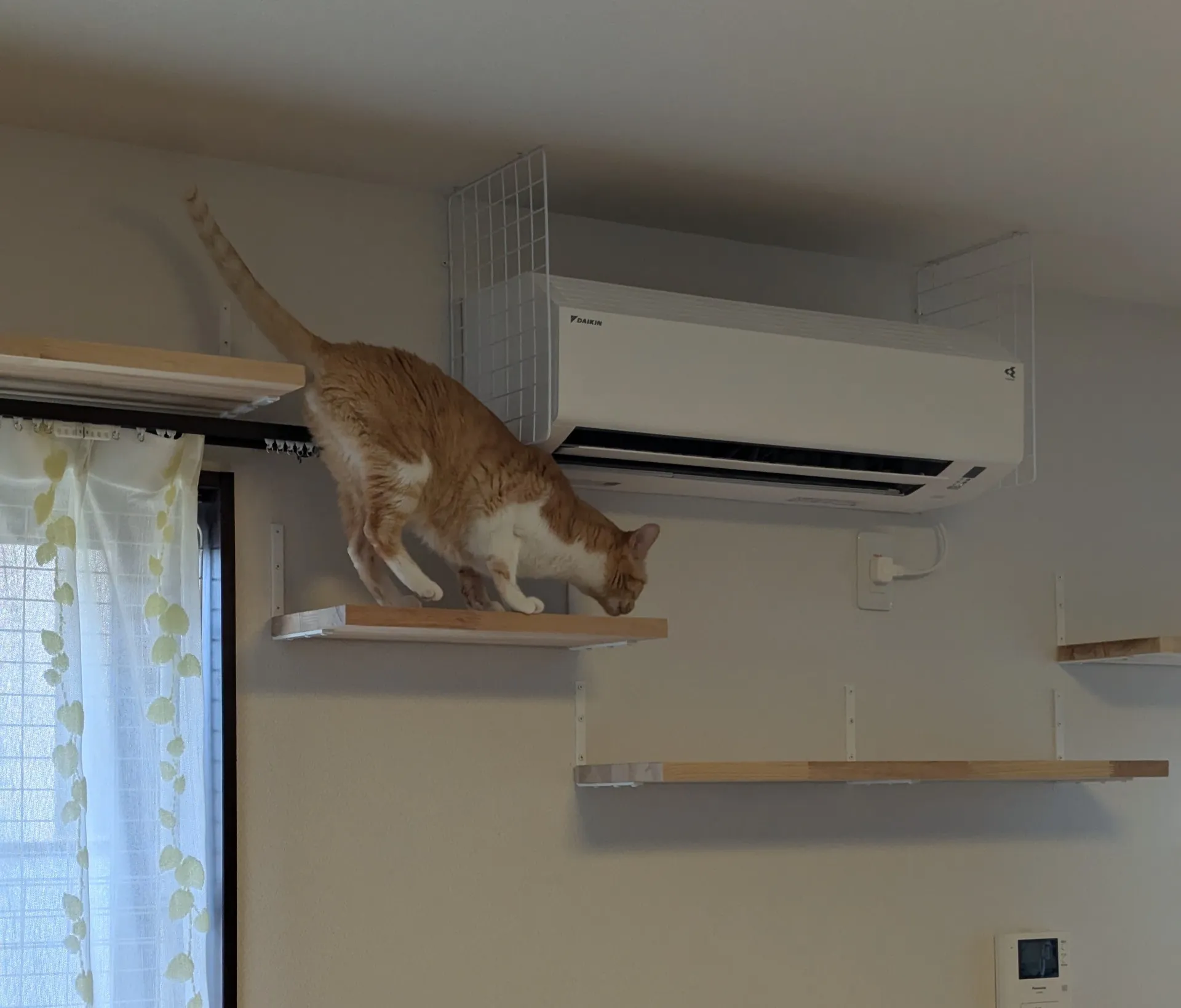折り畳みキャットウォーク＆キャットウォーク