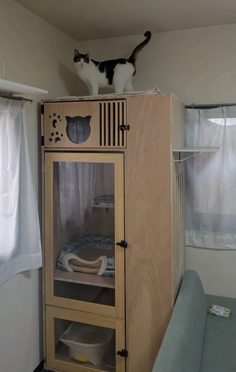 キャットハウス