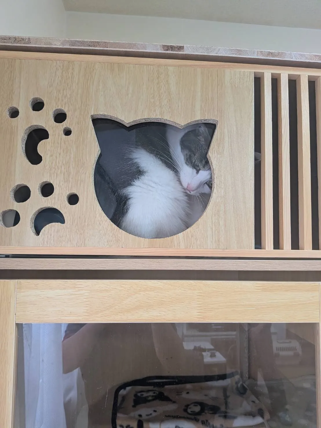 キャットハウス