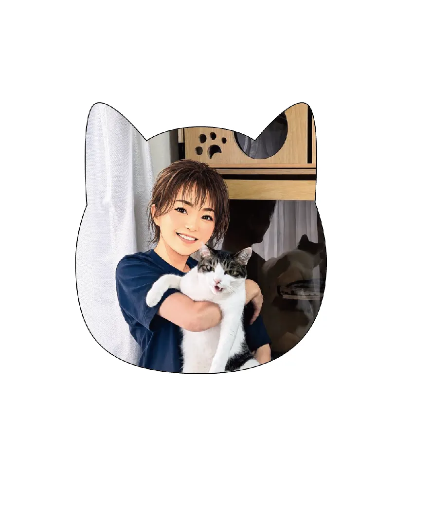 お家リフォーム本当にありがとうございました