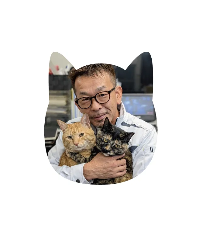 野良猫ちゃんズの為に